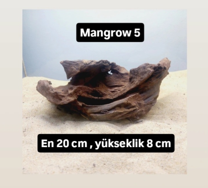 Mangrow 5