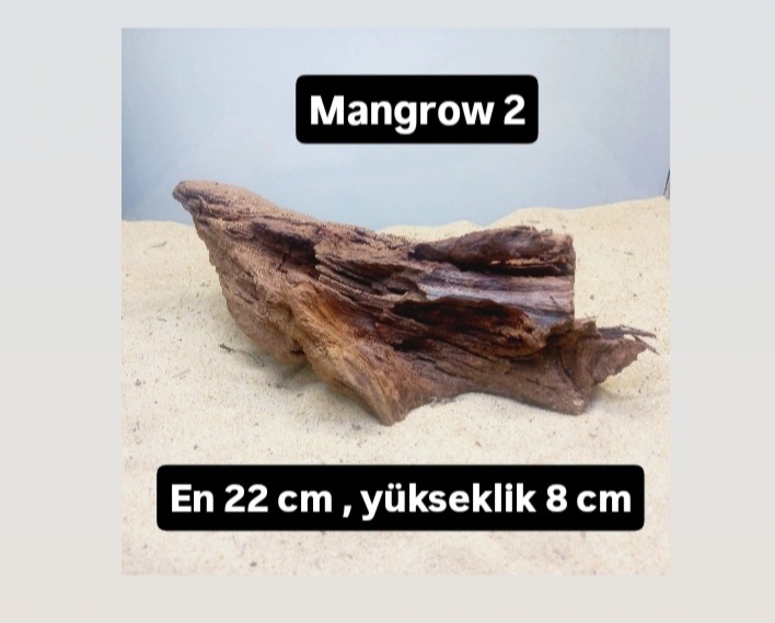 Mangrow 2