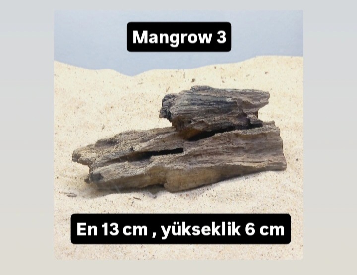 Mangrow 3