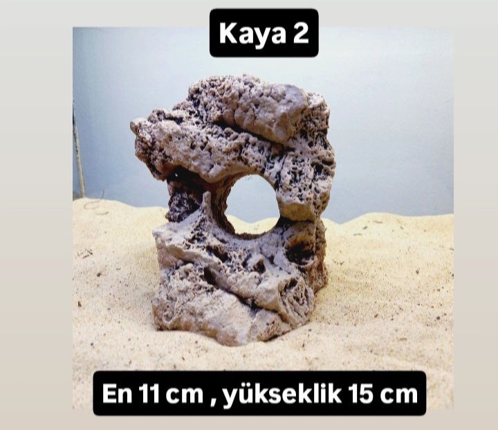 Kaya 2