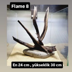 Flame 8
