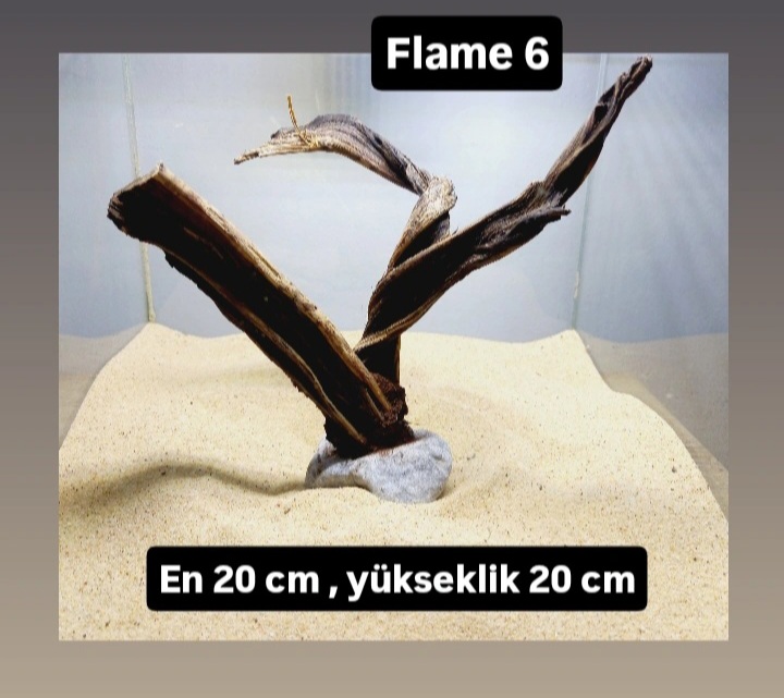 Flame 6