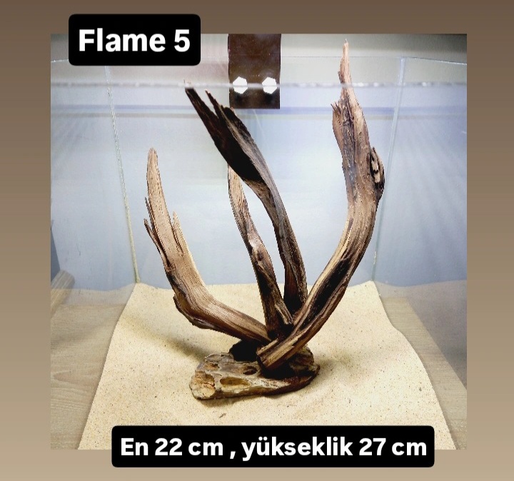 Flame 5