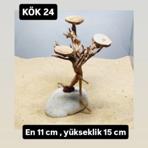 KÖK 24