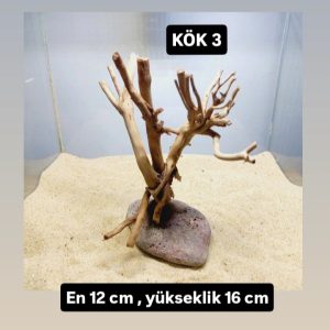 KÖK 3