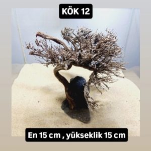 KÖK 12