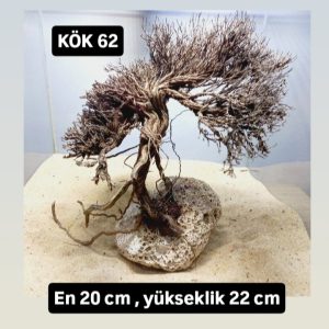 KÖK 62
