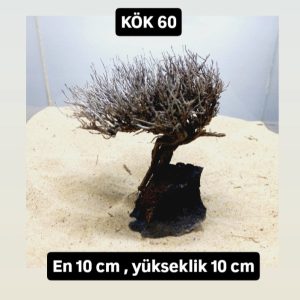 KÖK 60