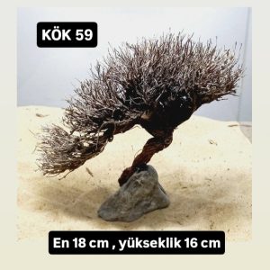KÖK 59