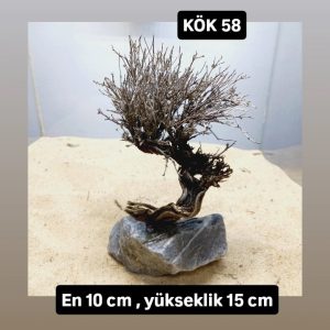 KÖK 58