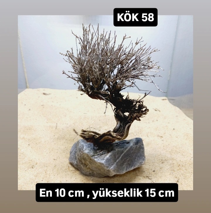 KÖK 58